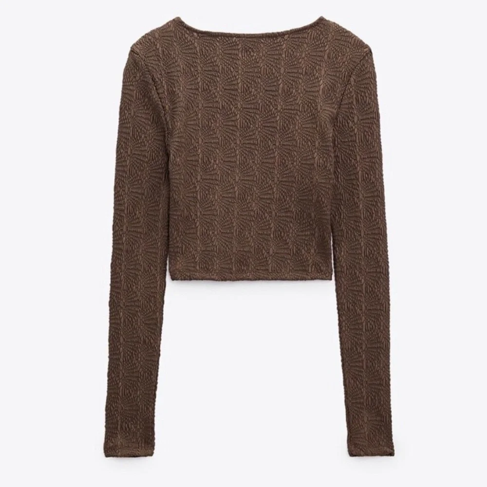 Zara Textured‎ Pointelle Brown Long Sleeve Cropped Top